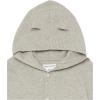 imageAmazon Essentials Unisex Babies Hooded Sweater Pack of 2Grey HeatherIvory