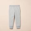 imageAmazon Essentials Boys and Toddlers Fleece Jogger Sweatpants MultipacksMedium Grey Heather