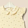 imageAmazon Essentials x Sofia Grainge Toddlers and Baby Girls Short Sleeve Blouse Pack of 2Ditsy FloralIvory