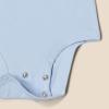 imageAmazon Essentials x Sofia Grainge Unisex Babies Long Sleeve Crew Neck Bodysuit Pack of 3Light BlueBunniesStripe