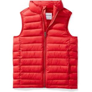imageAmazon Essentials Boys and Toddlers Lightweight WaterResistant Packable Hooded Puffer VestRed