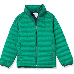imageAmazon Essentials Boys and Toddlers Lightweight WaterResistant Packable Puffer JacketGreen