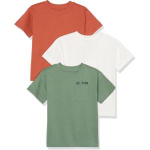 imageAmazon Essentials Unisex Kids and Toddlers Modern ShortSleeve TShirt Pack of 3IvorySage GreenTerracotta