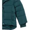 imageAmazon Essentials Girls and Toddlers Heavyweight Hooded Puffer Coat WaterResistantDark Green