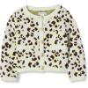 Ivory Leopard Animal