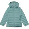 imageAmazon Essentials Girls and Toddlers Lightweight WaterResistant Packable Hooded Puffer JacketGreen