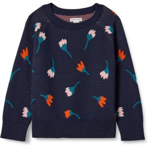 imageAmazon Essentials Girls and Toddlers Pullover Crewneck SweaterDark Navy Flower Stems