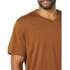 imageAmazon Essentials Mens ShortSleeve VNeck TShirts Pack of 2BlackBrown