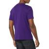 imageAmazon Essentials Mens ShortSleeve VNeck TShirts Pack of 2BlackDark Purple