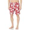 Red Hibiscus Flower