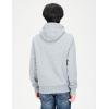 imageAmazon Essentials Mens Hoodies SherpaLined PulloverLight Grey Heather