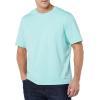 imageAmazon Essentials Mens Cotton RegularFit ShortSleeve Crewneck TShirt Pack of 2Aqua BlueWhite