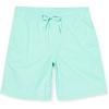 Aqua Green