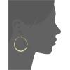 imageAmazon Essentials Gold Plated or Stainless Steel Flattened Hoop Earrings previously Amazon CollectionYellow Gold