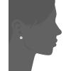 imageAmazon Essentials Plated Sterling Silver Cubic Zirconia Stud Earrings Round ampamp PrincessWhitePlatinum