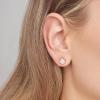 imageAmazon Essentials Plated Sterling Silver Cubic Zirconia Stud Earrings Round ampamp PrincessWhitePlatinum