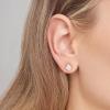 imageAmazon Essentials Plated Sterling Silver Cubic Zirconia Stud Earrings Round ampamp PrincessWhiteYellow Gold