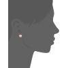 imageAmazon Essentials Plated Sterling Silver Polished Ball Stud Earrings  previously Amazon CollectionRose Gold