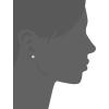 imageAmazon Essentials Plated Sterling Silver Polished Ball Stud Earrings  previously Amazon CollectionSilver