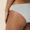 imageAmazon Essentials Womens Cotton Bikini Brief Underwear Available in Plus Size MultipacksBlackGrey HeatherLight PinkWhite