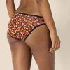 imageAmazon Essentials Womens Cotton Bikini Brief Underwear Available in Plus Size MultipacksDotsFloralMulticolor