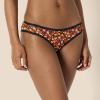 imageAmazon Essentials Womens Cotton Bikini Brief Underwear Available in Plus Size MultipacksDotsFloralMulticolor