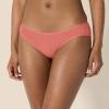 imageAmazon Essentials Womens Cotton Bikini Brief Underwear Available in Plus Size MultipacksNeutral Shades