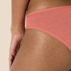 imageAmazon Essentials Womens Cotton Bikini Brief Underwear Available in Plus Size MultipacksNeutral Shades