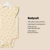 imageAmazon Essentials x Sofia Grainge Baby Girls Embroidered Ruffle Bodysuit Pack of 2Ditsy FlowersIvory