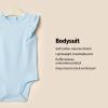 imageAmazon Essentials x Sofia Grainge Baby Girls Embroidered Ruffle Bodysuit Pack of 2Light BlueStripe