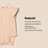 imageAmazon Essentials x Sofia Grainge Baby Girls Embroidered Ruffle Bodysuit Pack of 2StrawberryStripe