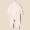 imageAmazon Essentials x Sofia Grainge Unisex Babies Footless Sleepsuit Pack of 2Pink Bunny Bear