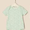 imageAmazon Essentials x Sofia Grainge Unisex Babies Short Sleeve Crewneck Bodysuit Pack of 3RabbitsRound TreesStripe
