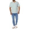 imageAmazon Essentials Mens Vacation Cotton ButtonDown Resort Shirt Short SleeveLight Blue Stripe