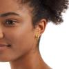 imageAmazon Essentials 14k Gold Plated or Silver Plated Modern Oval Hoop EarringsYellow Gold
