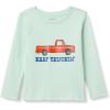 imageAmazon Essentials Boys and Toddlers LongSleeve TShirtsPale Mint Green Truck