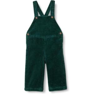 imageAmazon Essentials x Sofia Grainge Unisex Toddlers and Babies Corduroy Bib OverallDark Green