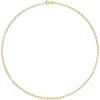 imageAmazon Essentials 14K Gold Plated Paperclip Chain NecklaceYellow Gold