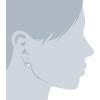 imageAmazon Essentials Sterling Silver Round Cut Cubic Zirconia Leverback EarringsPlatinum