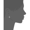 imageAmazon Essentials Sterling Silver Round Cut Cubic Zirconia Leverback EarringsPlatinum