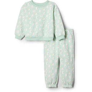 imageAmazon Essentials unisexbaby Sweatshirt ampamp Sweatpant SetPale Green Rabbits