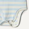 imageAmazon Essentials x Sofia Grainge Baby Girls Cotton Ruffle Sleeve Bodysuit with Embroidered Detail Pack of 2Light BlueStripe