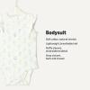 imageAmazon Essentials x Sofia Grainge Baby Girls Cotton Ruffle Sleeve Bodysuit with Embroidered Detail Pack of 2Light YellowBouquets