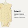 imageAmazon Essentials x Sofia Grainge Baby Girls Cotton Ruffle Sleeve Bodysuit with Embroidered Detail Pack of 2WhiteStripe Floral