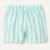 imageAmazon Essentials Boys Quick Dry Swimming Board Shorts Swim TrunksBright Mint Green Stripe