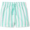 imageAmazon Essentials Boys Quick Dry Swimming Board Shorts Swim TrunksBright Mint Green Stripe