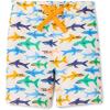 Ivory Sharks