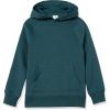 imageAmazon Essentials Boys and Toddlers Fleece Pullover Hoodie SweatshirtsDark Green