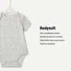 imageAmazon Essentials x Sofia Grainge Unisex Babies Short Sleeve Crewneck BodysuitDark GreenSheepStripe