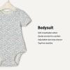 imageAmazon Essentials x Sofia Grainge Unisex Babies Short Sleeve Crewneck BodysuitRabbitsRound TreesStripe